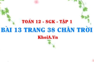 Bài 13 trang 38 Toán 12 Tập 1 Chân trời sáng tạo